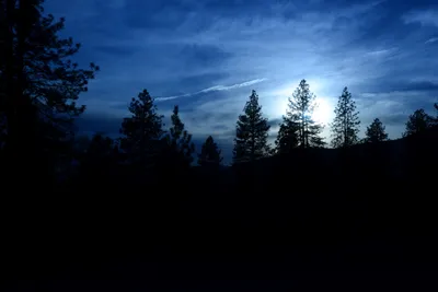 DSC_0945 (Large).JPG